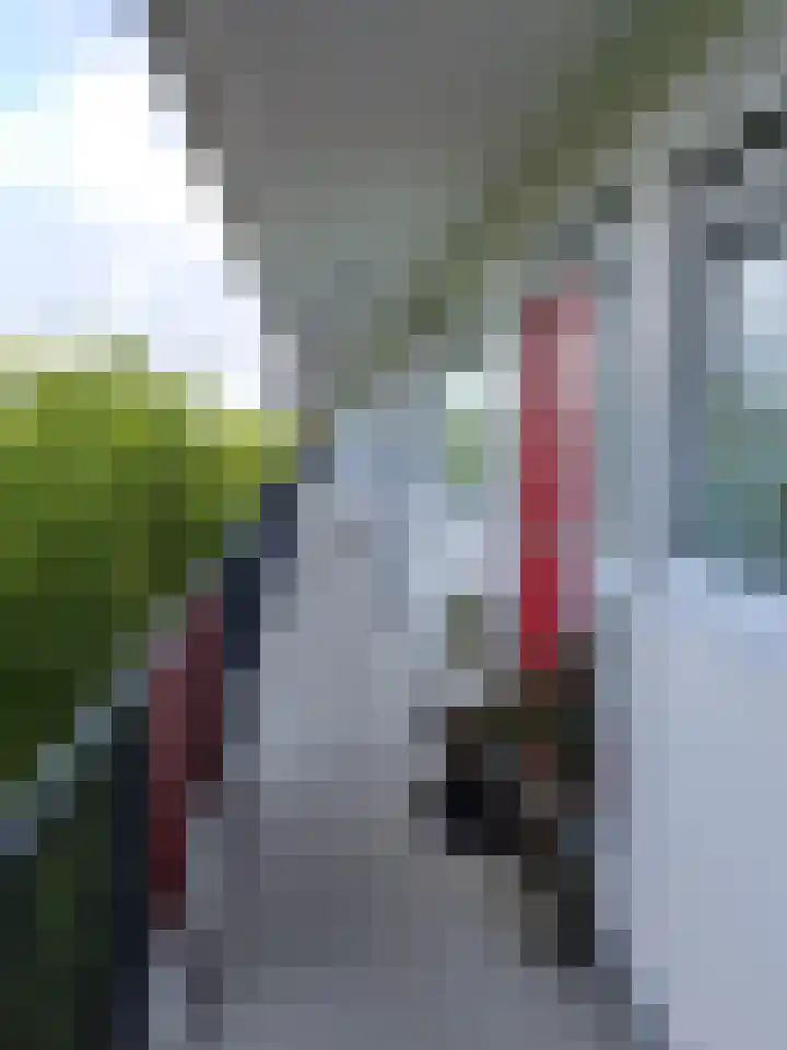 Jozef Oreliosingel 327 Schiedam thumbnail 5