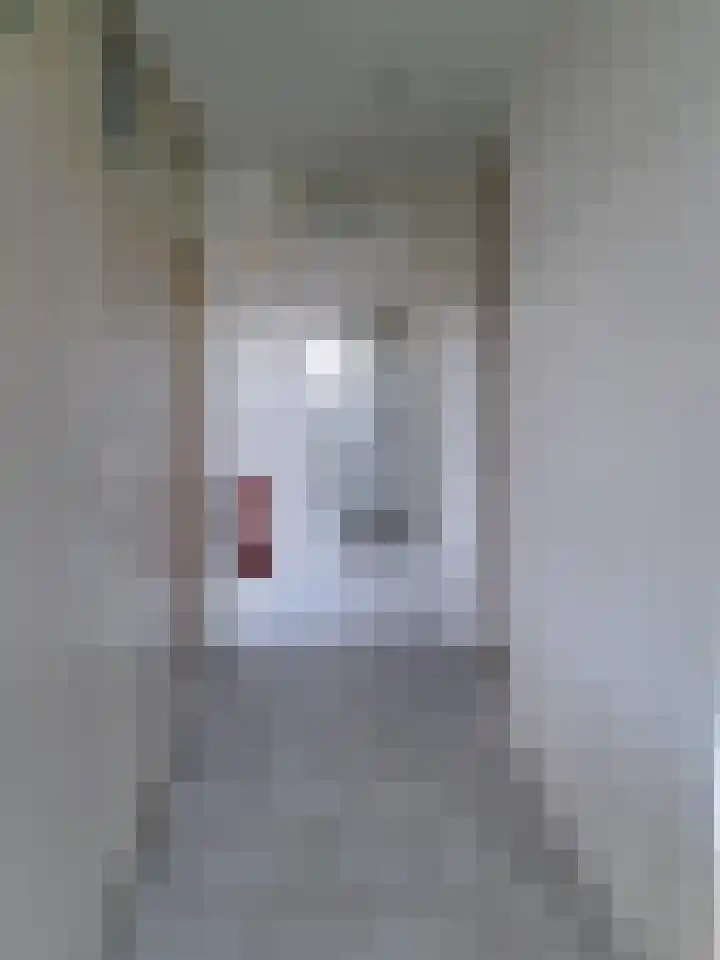 Jozef Oreliosingel 327 Schiedam thumbnail 8