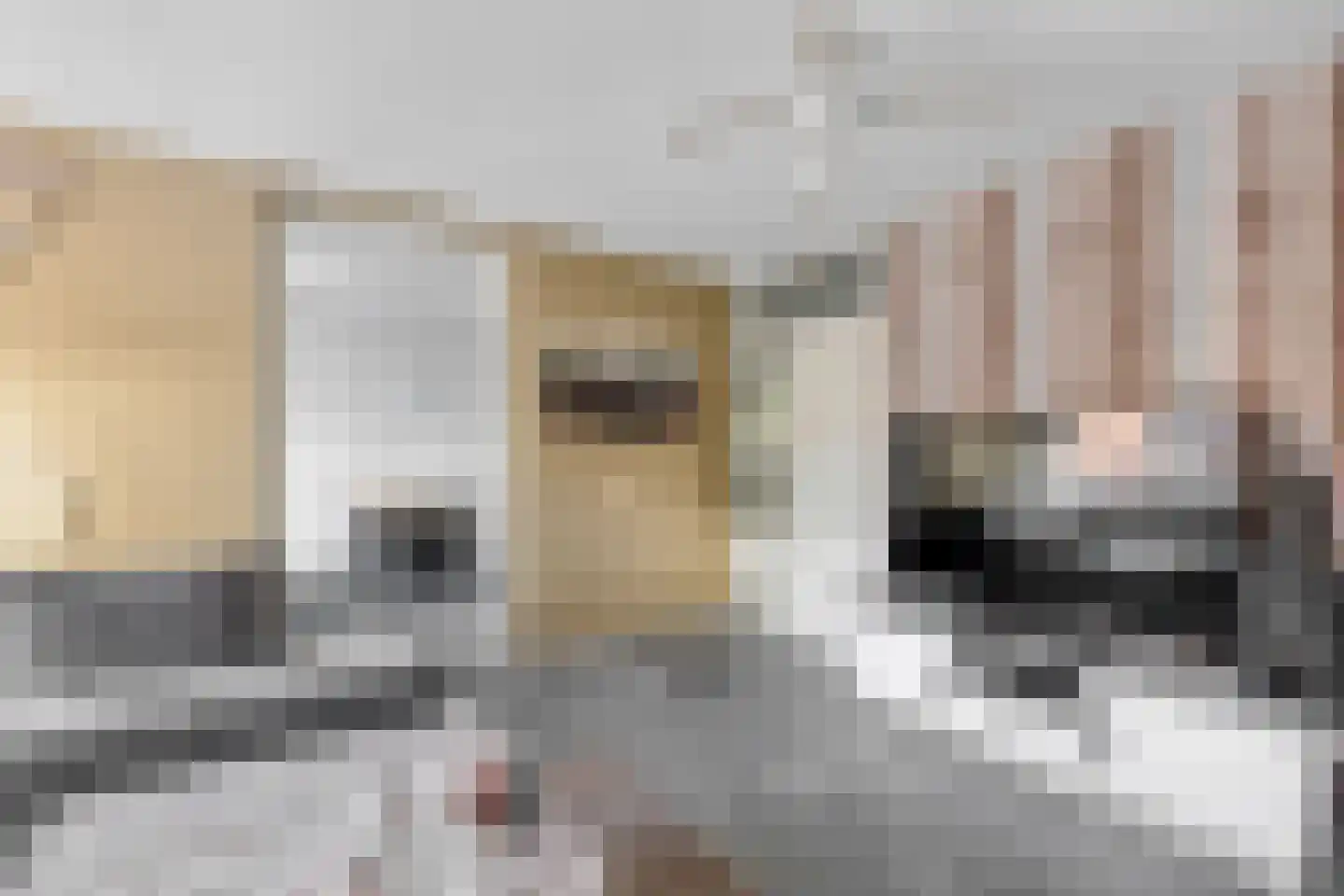 Jozef Oreliosingel 5 Schiedam thumbnail 12