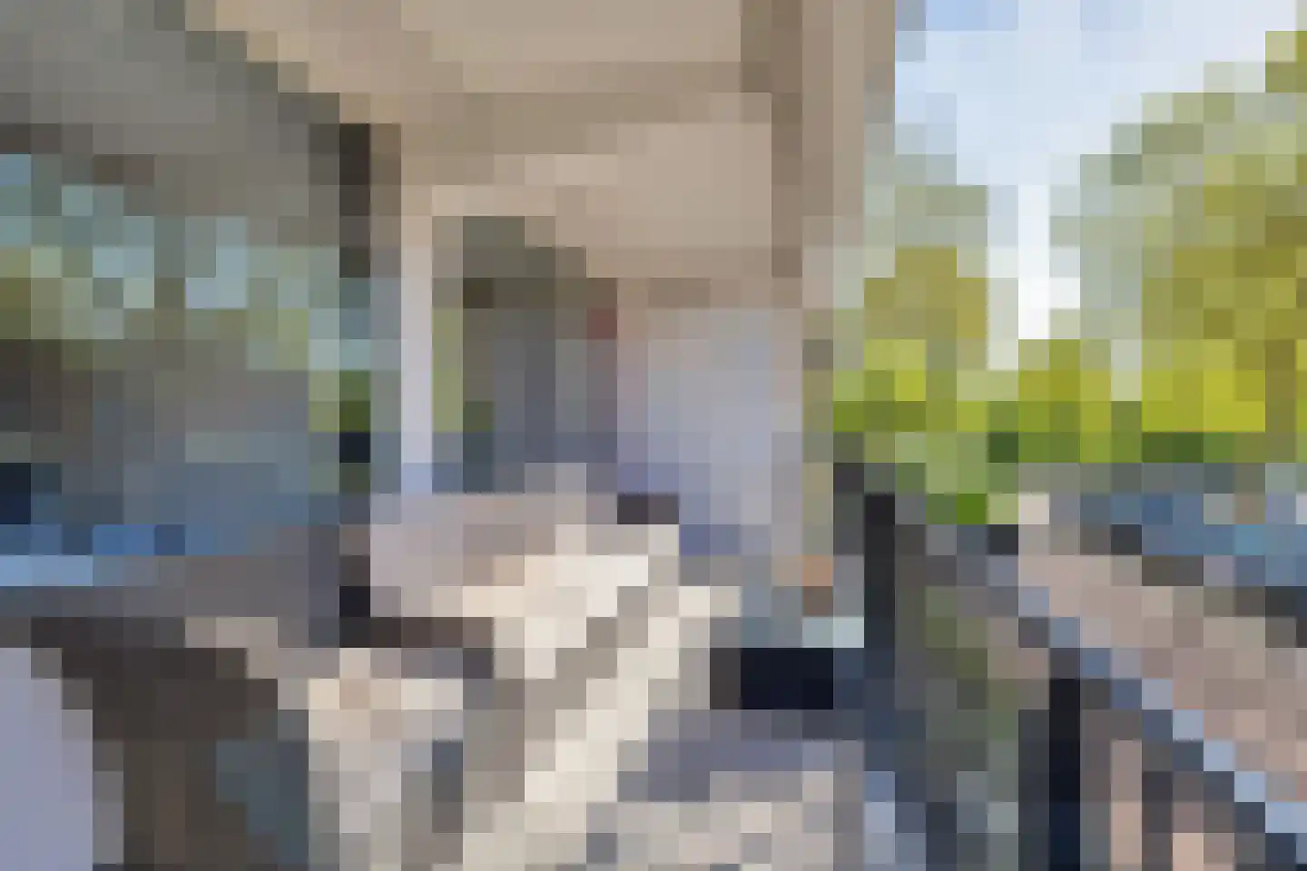 Jozef Oreliosingel 5 Schiedam thumbnail 17