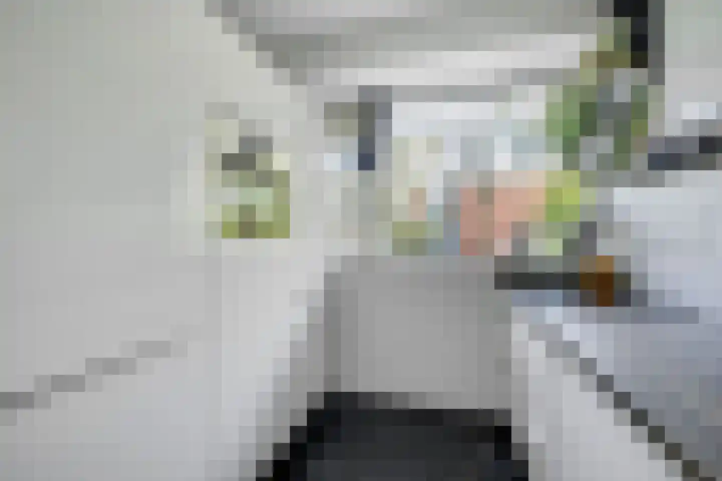 Jozef Oreliosingel 5 Schiedam thumbnail 21