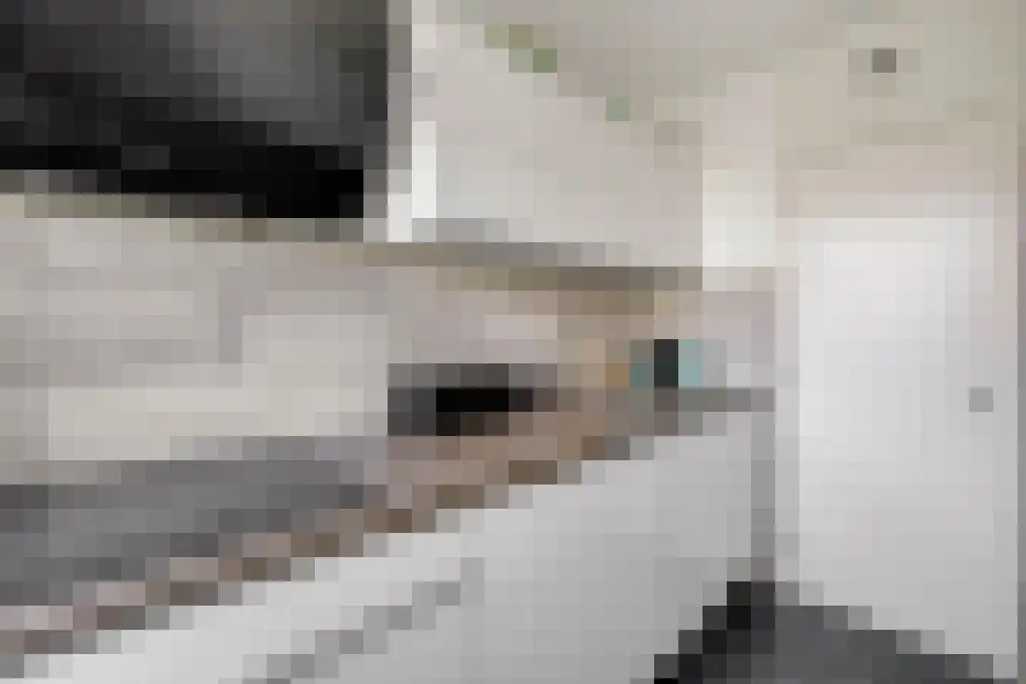 Jozef Oreliosingel 5 Schiedam thumbnail 22