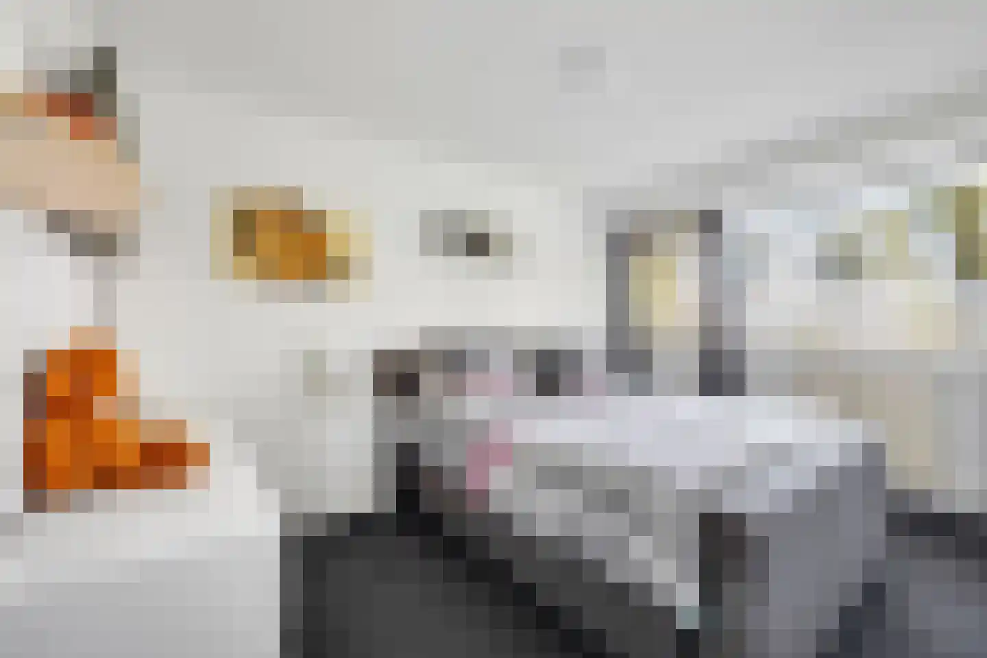 Jozef Oreliosingel 5 Schiedam thumbnail 23