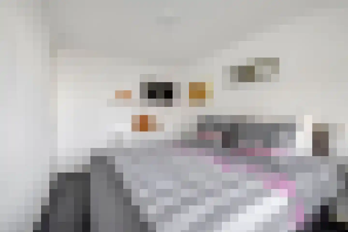 Jozef Oreliosingel 5 Schiedam thumbnail 24