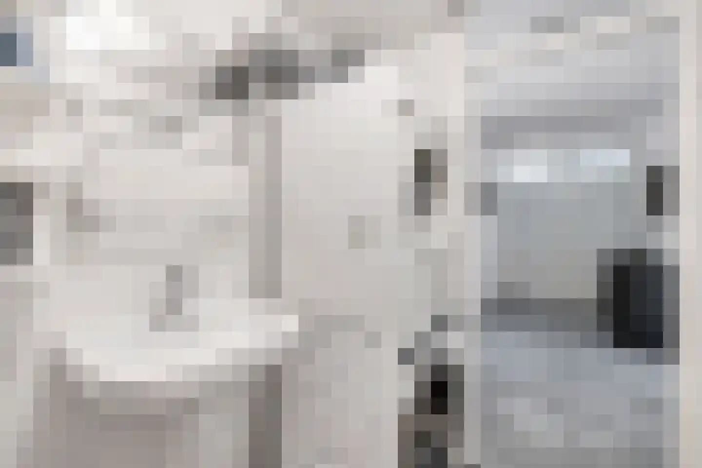 Jozef Oreliosingel 5 Schiedam thumbnail 33