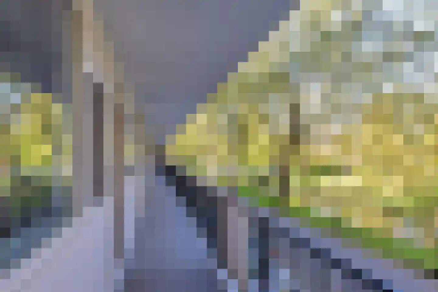 Jozef Oreliosingel 5 Schiedam thumbnail 34