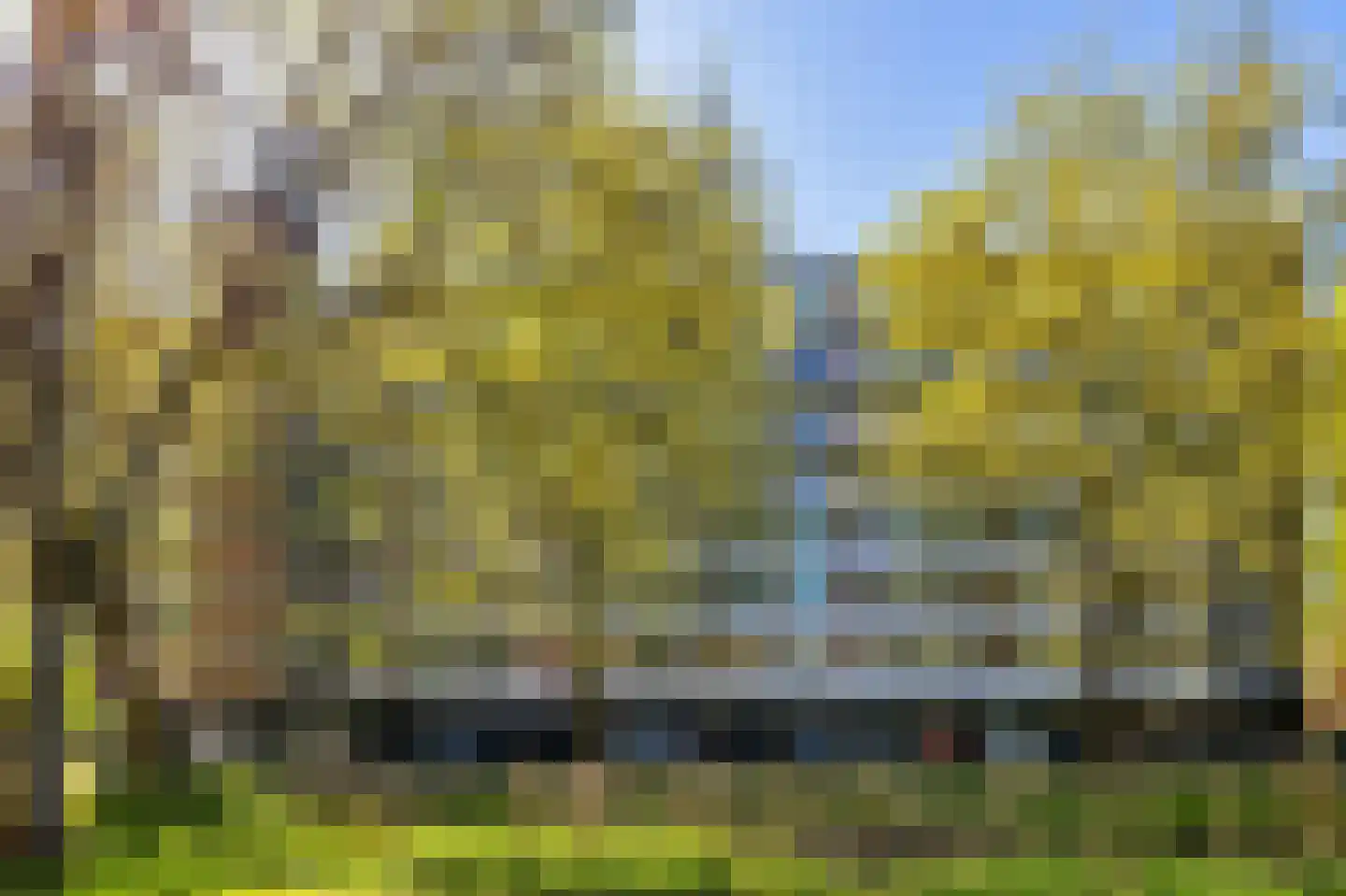 Jozef Oreliosingel 5 Schiedam thumbnail 37