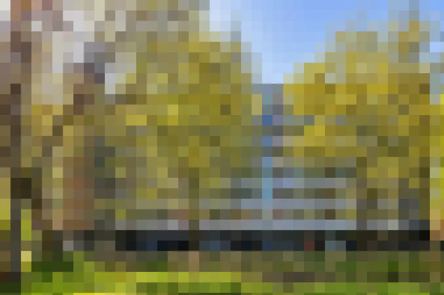 Jozef Oreliosingel 5 Schiedam thumbnail 37