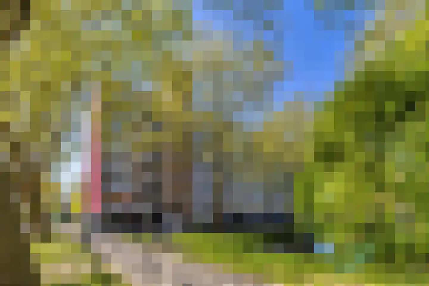 Jozef Oreliosingel 5 Schiedam thumbnail 38