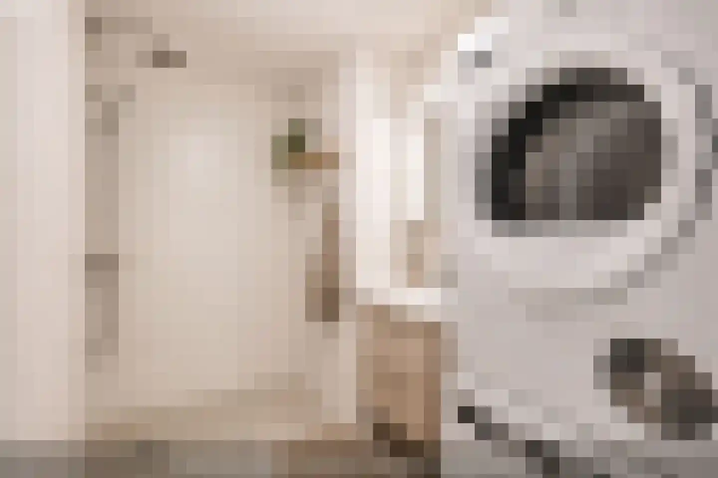Jozef Oreliosingel 5 Schiedam thumbnail 4