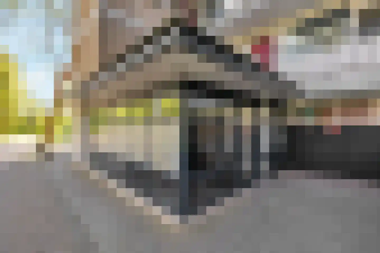 Jozef Oreliosingel 5 Schiedam thumbnail 5