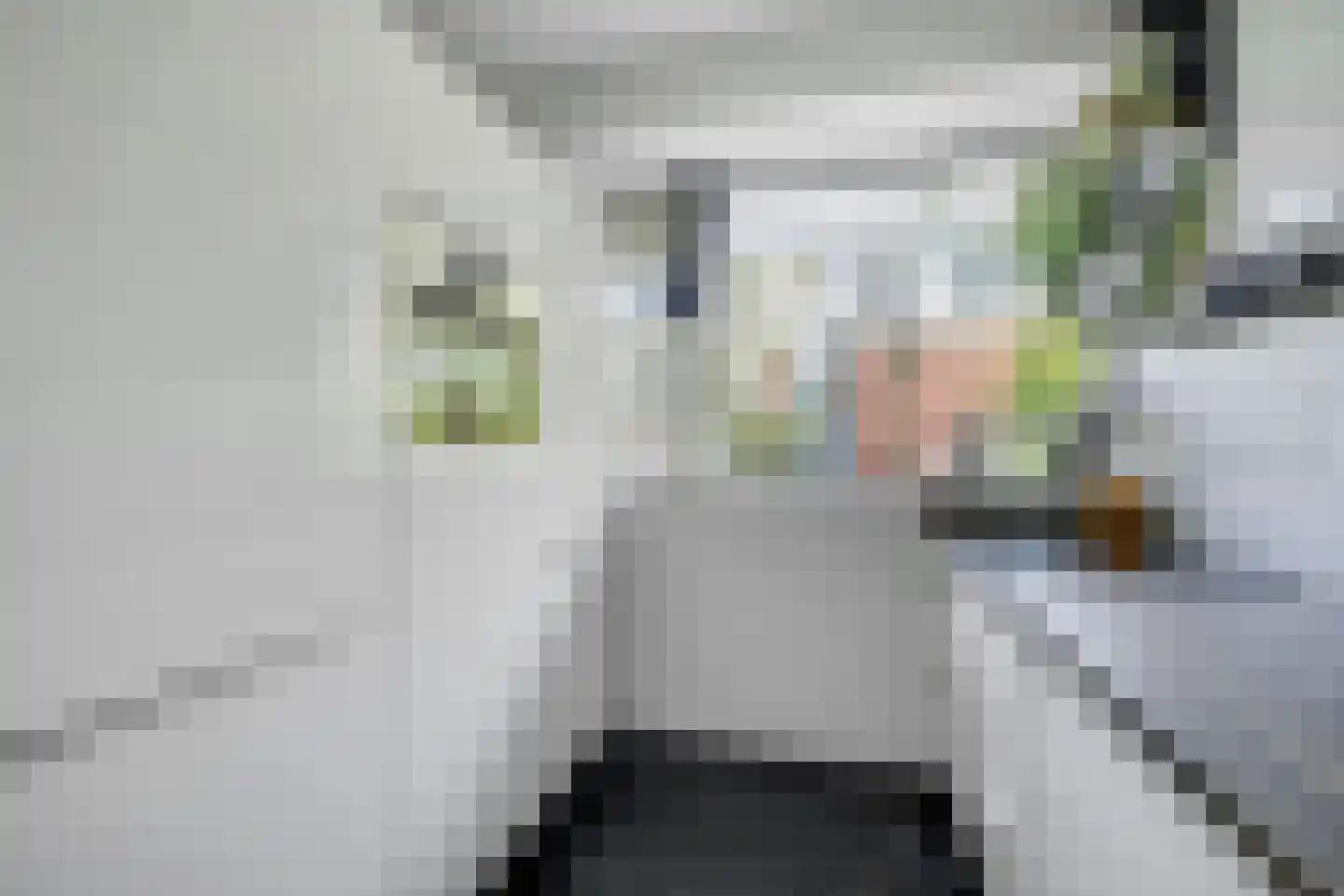 Jozef Oreliosingel 5 Schiedam thumbnail 5