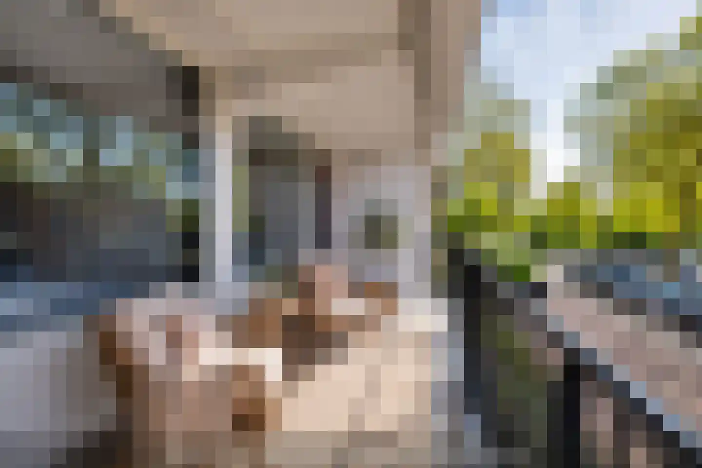 Jozef Oreliosingel 5 Schiedam thumbnail 6