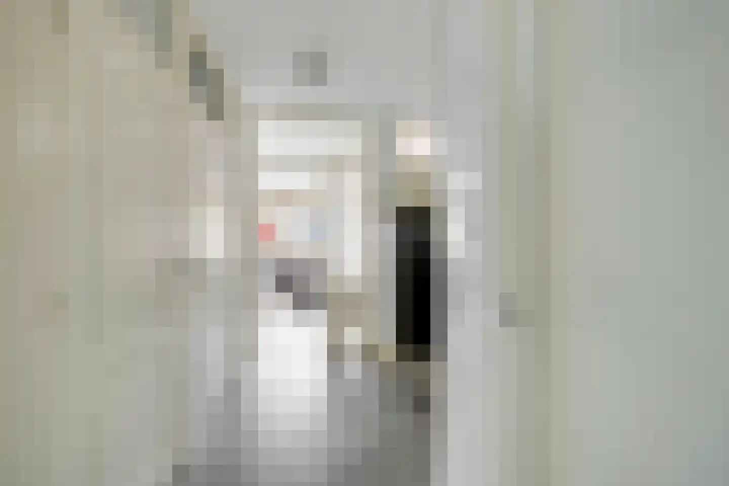 Jozef Oreliosingel 5 Schiedam thumbnail 7