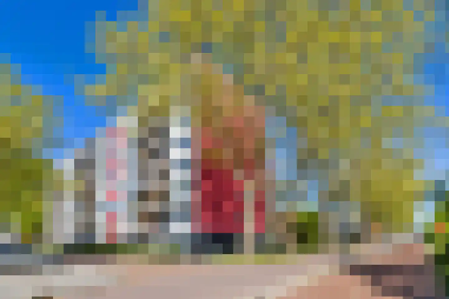 Jozef Oreliosingel 5 Schiedam thumbnail 7