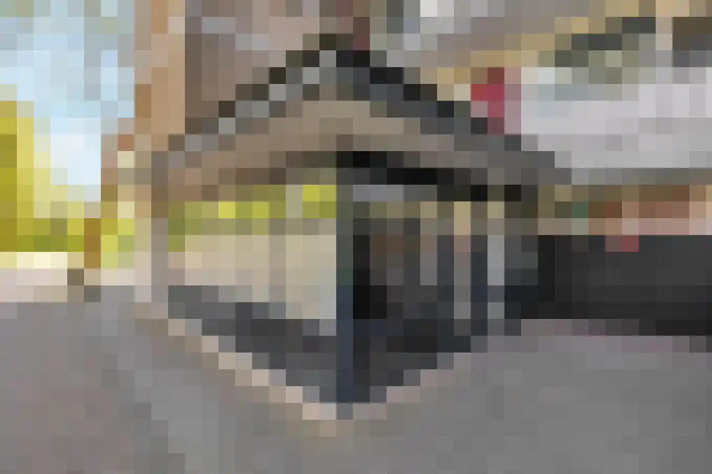 Jozef Oreliosingel 5 Schiedam thumbnail 8