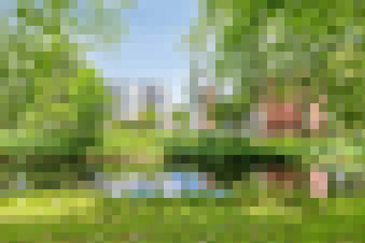Jozef Oreliosingel 7 Schiedam thumbnail 11