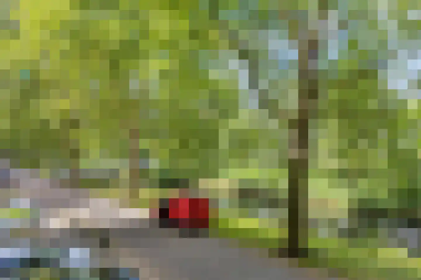 Jozef Oreliosingel 7 Schiedam thumbnail 13