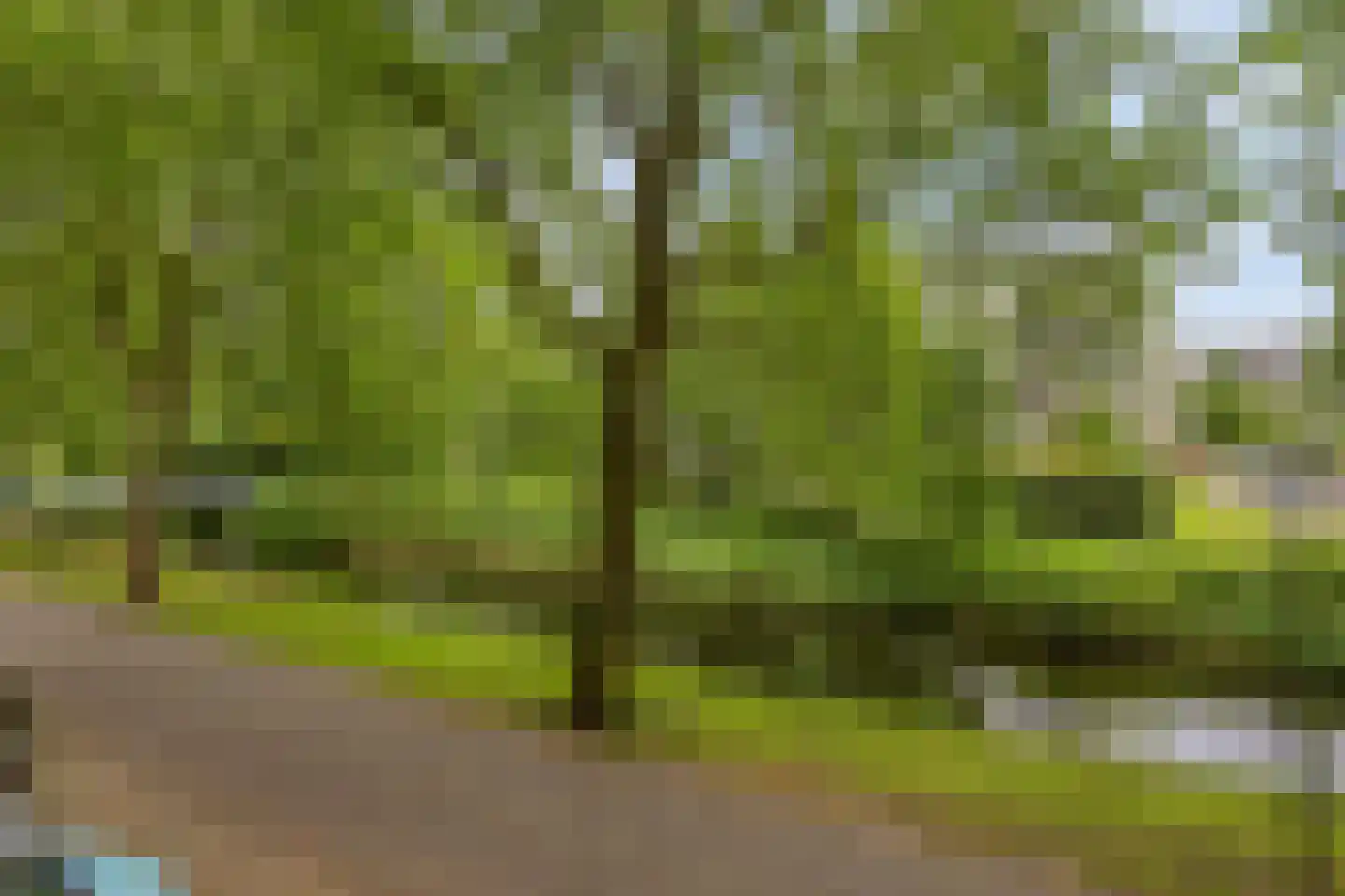 Jozef Oreliosingel 7 Schiedam thumbnail 15