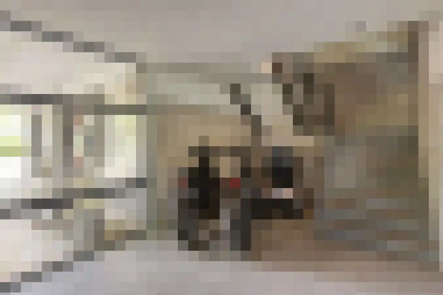 Jozef Oreliosingel 7 Schiedam thumbnail 20