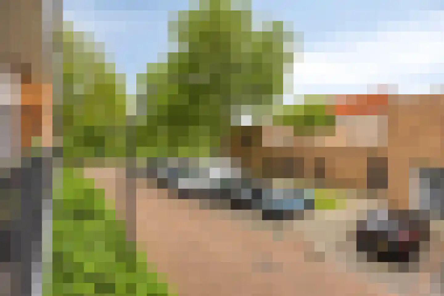 Jozef Oreliosingel 7 Schiedam thumbnail 22