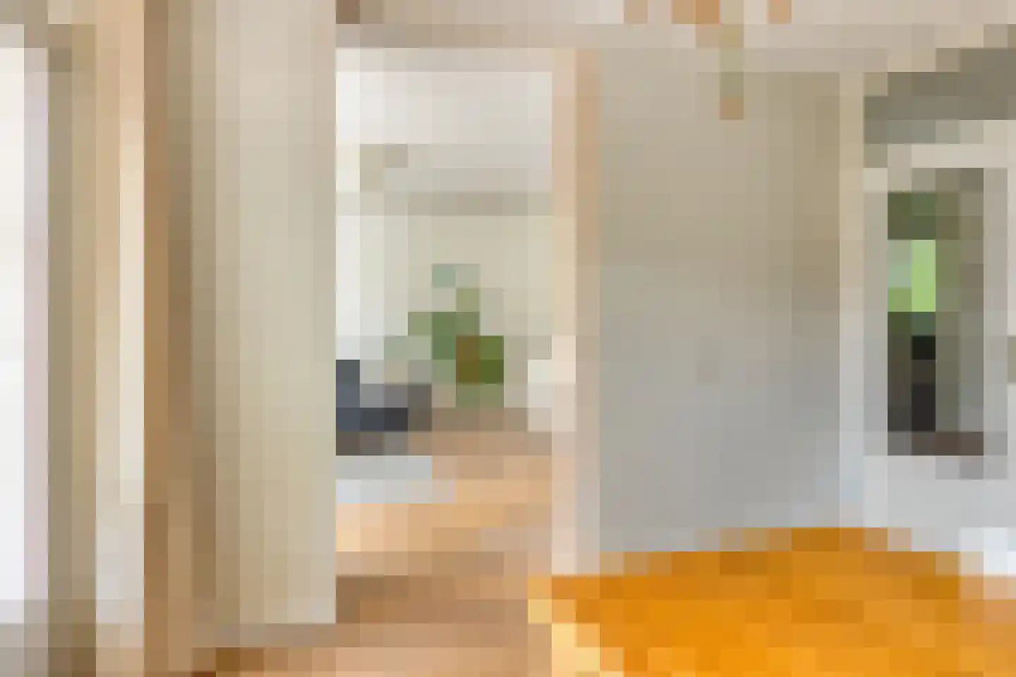 Jozef Oreliosingel 7 Schiedam thumbnail 30