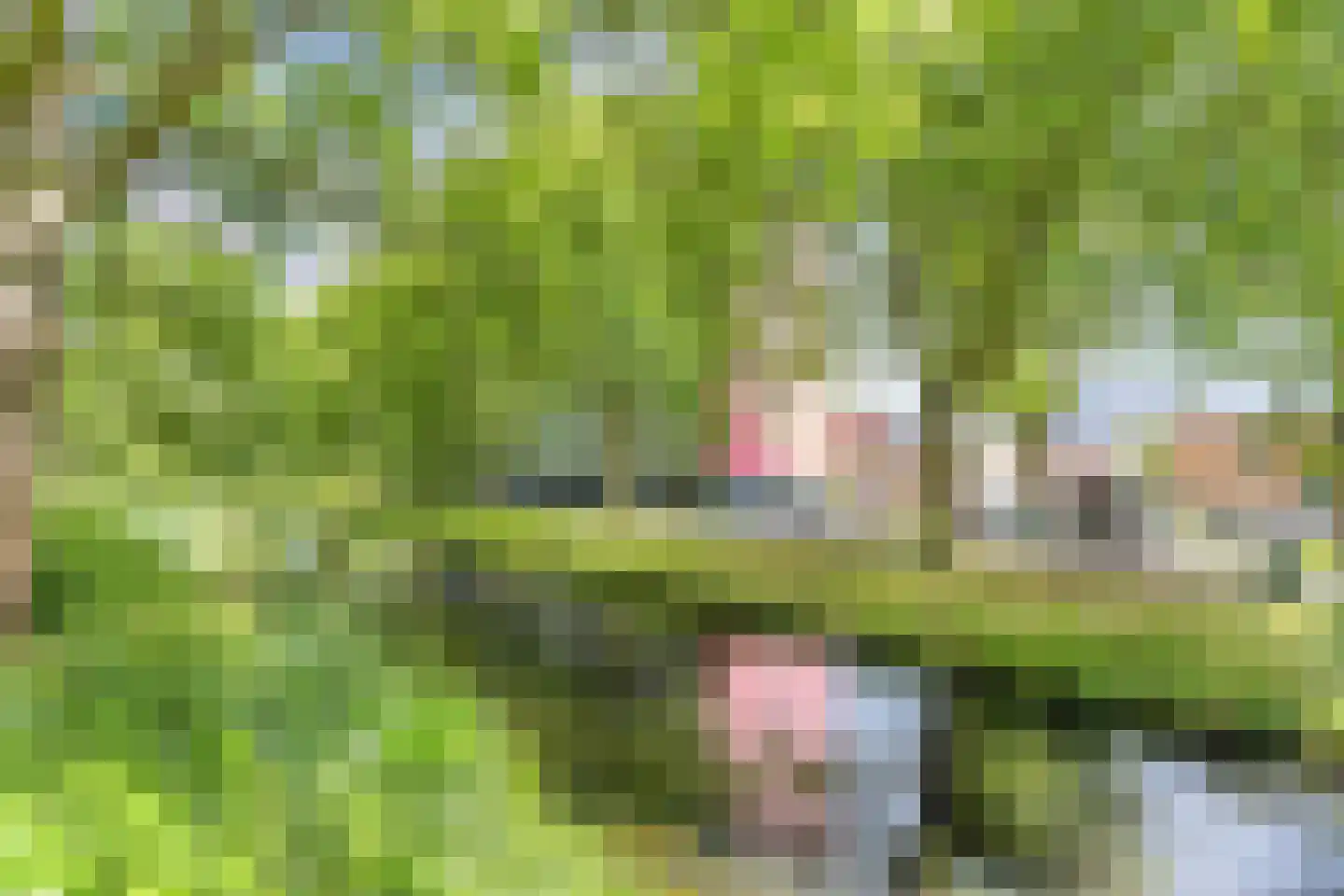 Jozef Oreliosingel 7 Schiedam thumbnail 5