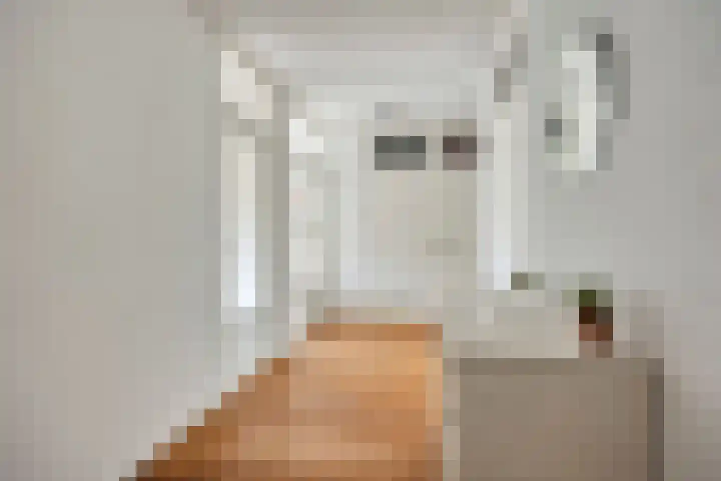Jozef Oreliosingel 7 Schiedam thumbnail 52