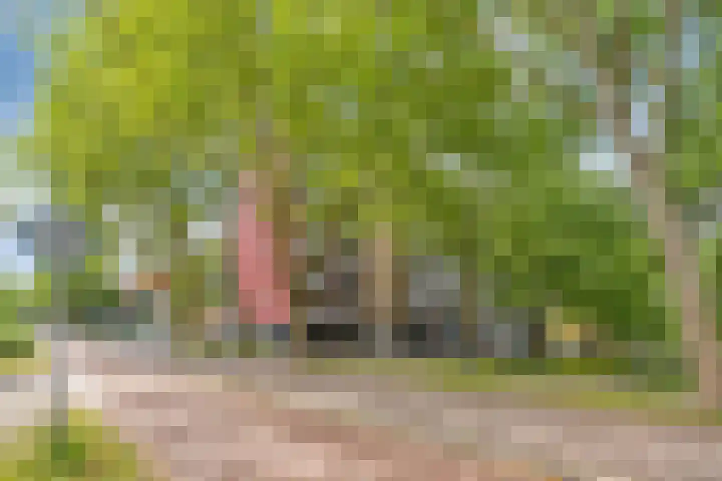 Jozef Oreliosingel 7 Schiedam thumbnail 6