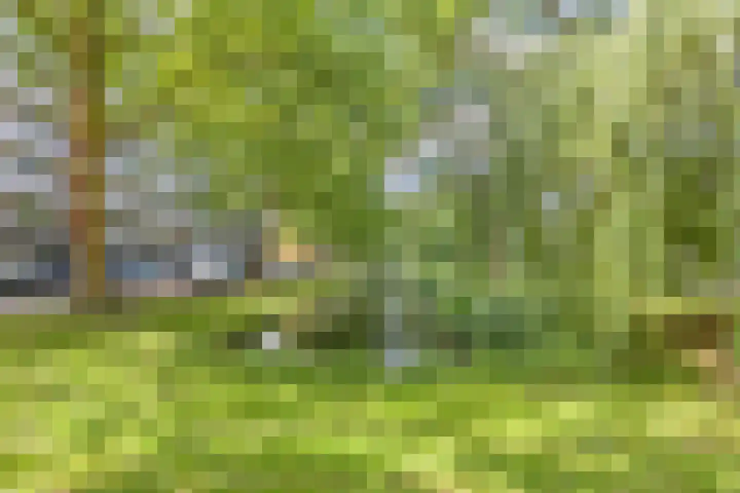 Jozef Oreliosingel 7 Schiedam thumbnail 7
