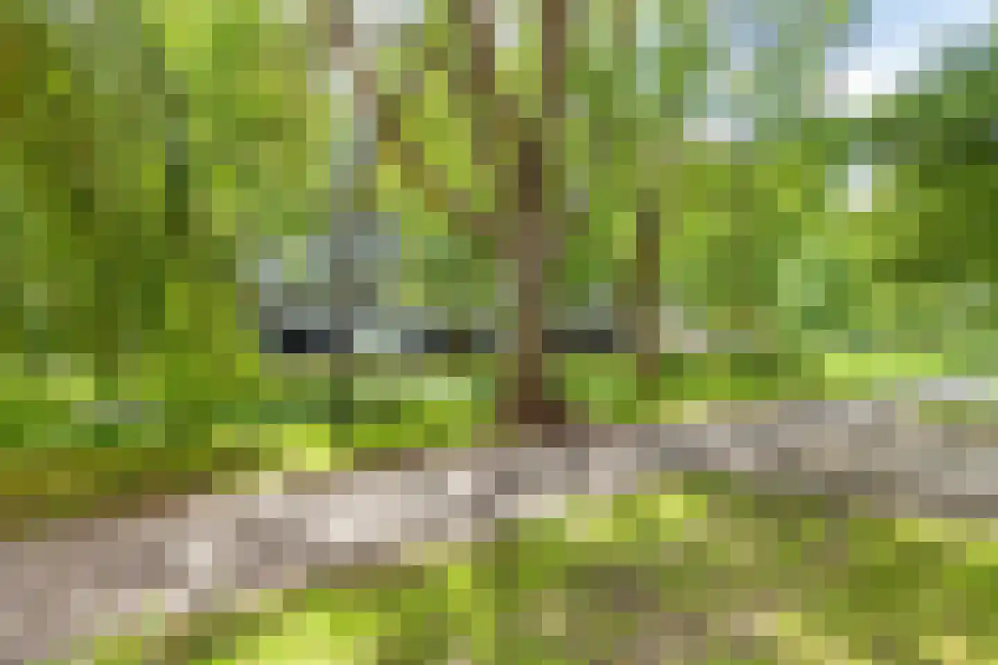 Jozef Oreliosingel 7 Schiedam thumbnail 8