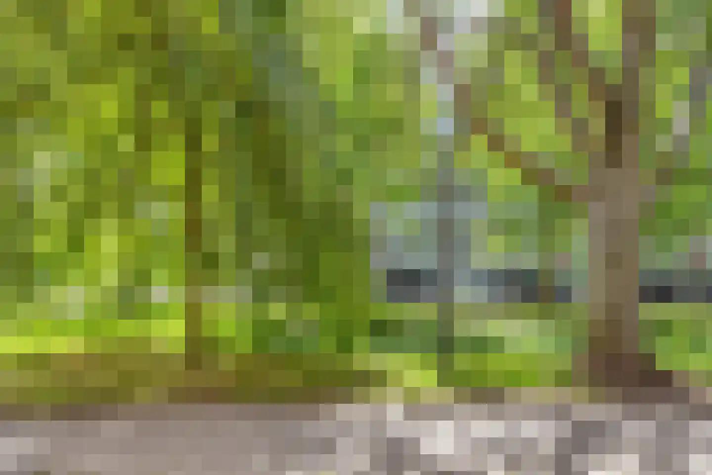 Jozef Oreliosingel 7 Schiedam thumbnail 9