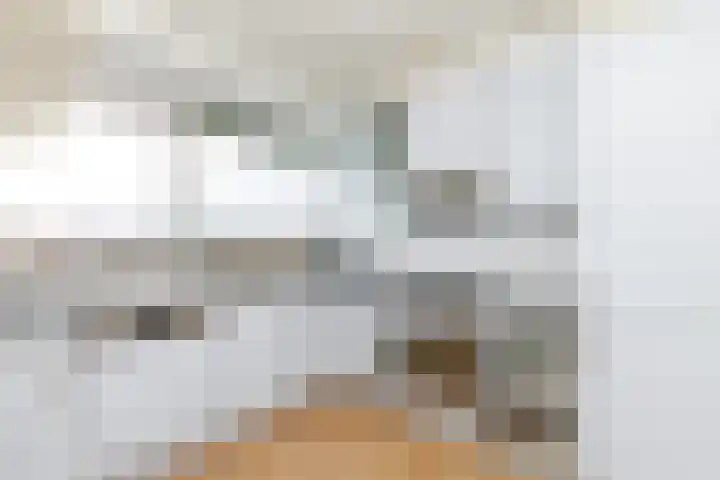 Jozef Oreliosingel 81 Schiedam thumbnail 12