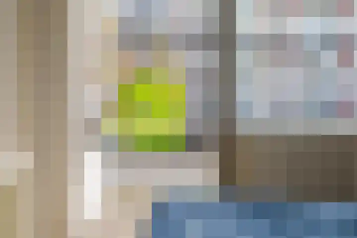 Jozef Oreliosingel 81 Schiedam thumbnail 18