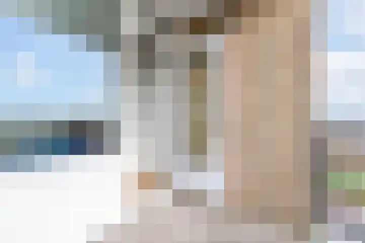Jozef Oreliosingel 81 Schiedam thumbnail 19