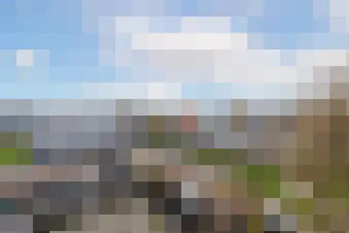 Jozef Oreliosingel 81 Schiedam thumbnail 22
