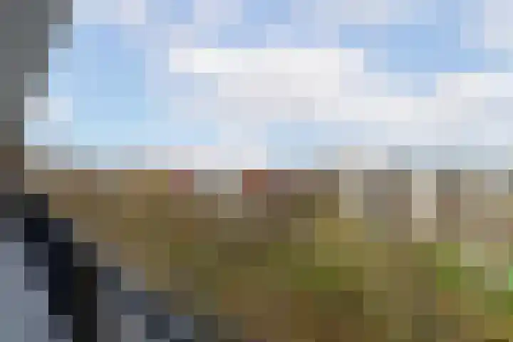 Jozef Oreliosingel 81 Schiedam thumbnail 33