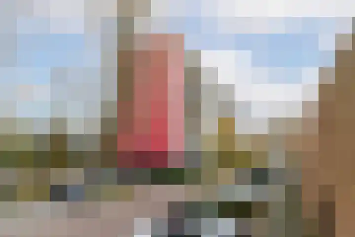 Jozef Oreliosingel 81 Schiedam thumbnail 39