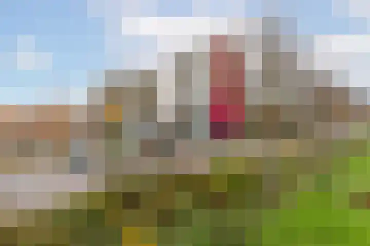 Jozef Oreliosingel 81 Schiedam thumbnail 40