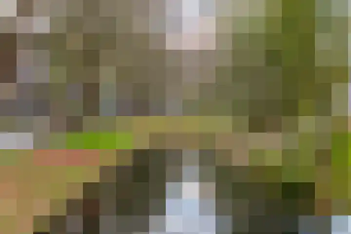 Jozef Oreliosingel 81 Schiedam thumbnail 41