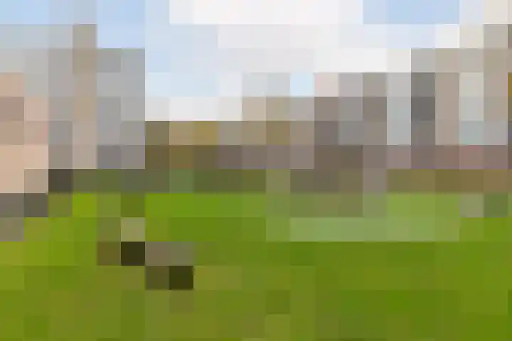 Jozef Oreliosingel 81 Schiedam thumbnail 42