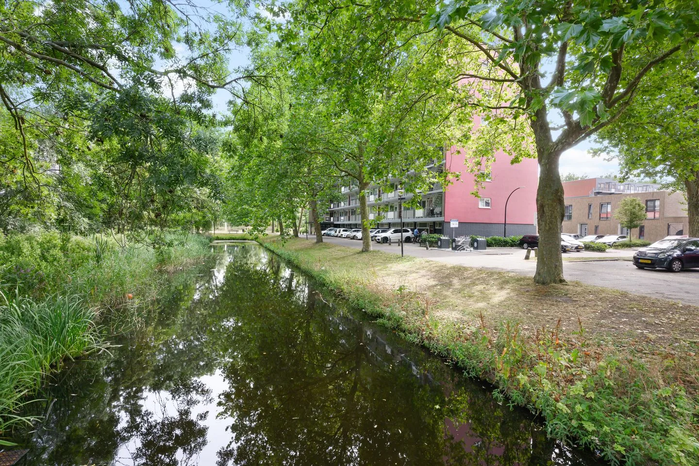 Jozef Oreliosingel 81 Schiedam thumbnail 6