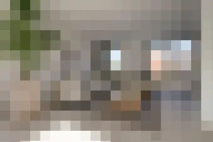 Jozef van Hövellpark 19 Lent thumbnail 22