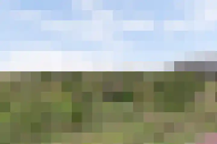 Jozef van Hövellpark 19 Lent thumbnail 37