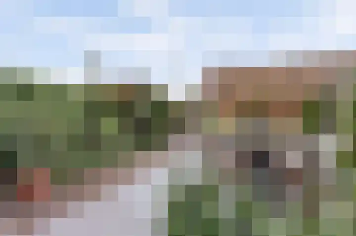 Jozef van Hövellpark 19 Lent thumbnail 52