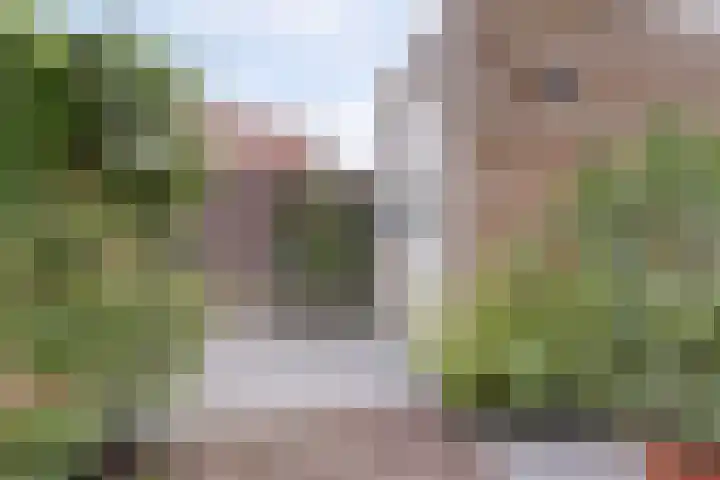 Jozef van Hövellpark 19 Lent thumbnail 55