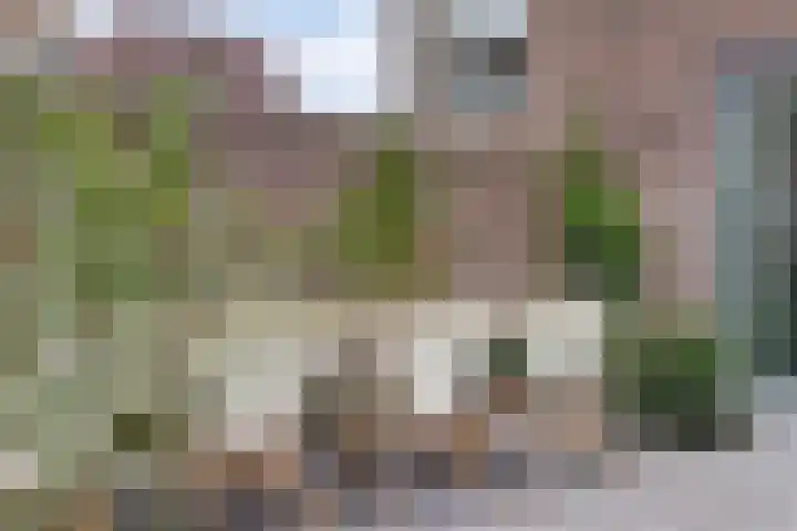 Jozef van Hövellpark 19 Lent thumbnail 56
