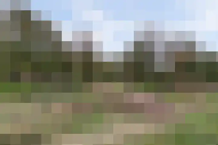Jozef van Hövellpark 19 Lent thumbnail 61