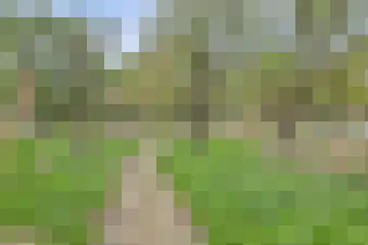 Jozef van Hövellpark 19 Lent thumbnail 63