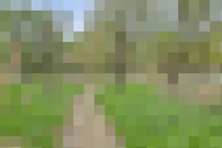 Jozef van Hövellpark 42 Lent thumbnail 62